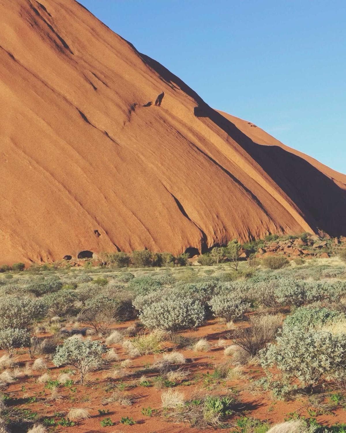 Neon Ronin thumbnail 3